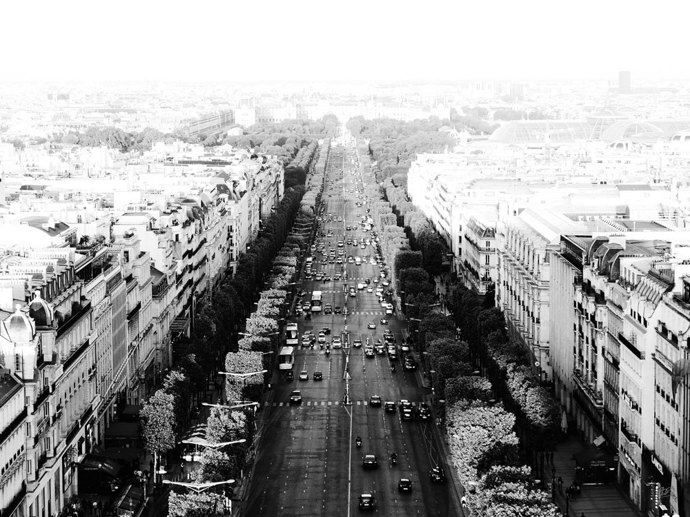 Champs Elysees - Paris black and white photograph